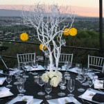 Yellow rose pomanders provide pops of color on this black and white table