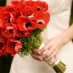 Spring-Wedding-Flowers-Anemone-Red-300x200