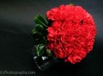 thumbs_mg_2681