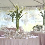 Tall calla lillies make an elegant statement for a modern bride.