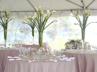 Tall calla lillies make an elegant statement for a modern bride