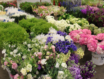 Flower Mart on Even Just Arranged By Accident In Buckets At The Flower Mart