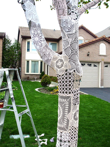 Lace covered tree