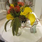 FNO Green.red.yellow