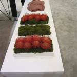 FNO flatpieces.distance