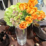 FNO orange tulips