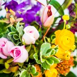WWMix0313_0008